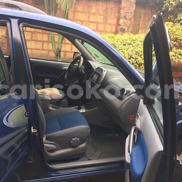 Big with watermark 16298494 1556577997703333 5880869471342312895 n