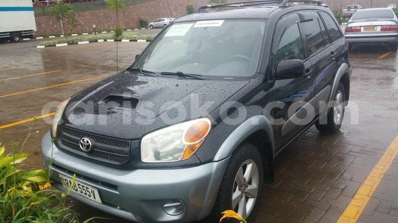 Big with watermark 0217171211d