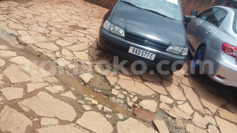 Big with watermark 0218171226