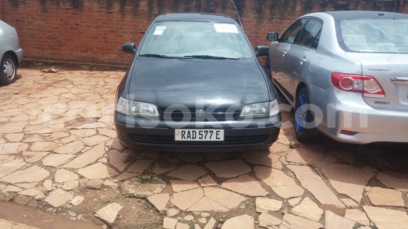 Big with watermark 0218171226a