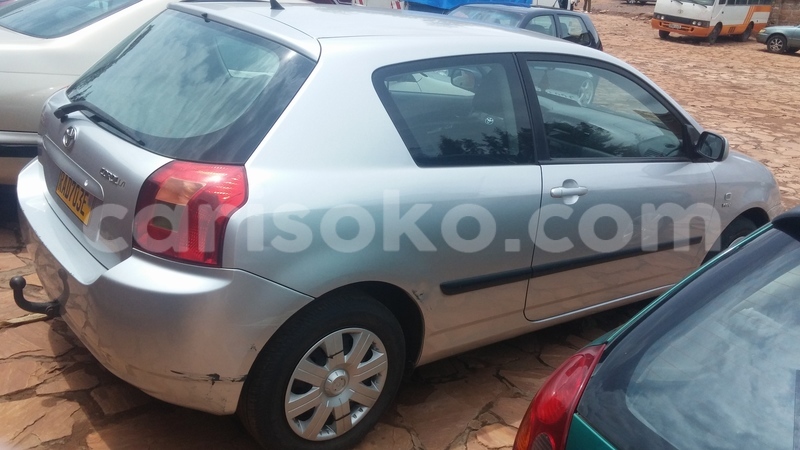 Big with watermark 0218171230