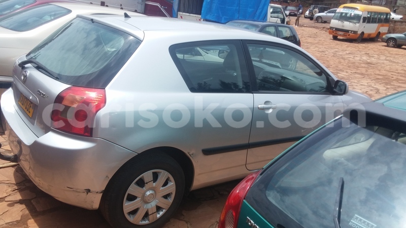 Big with watermark 0218171230a