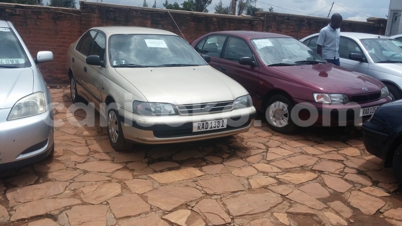 Big with watermark 0218171231a