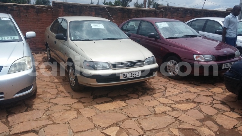 Big with watermark 0218171231b