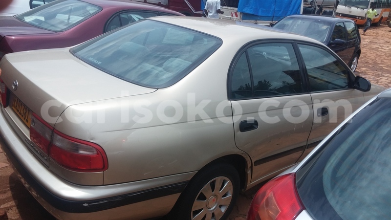 Big with watermark 0218171231c