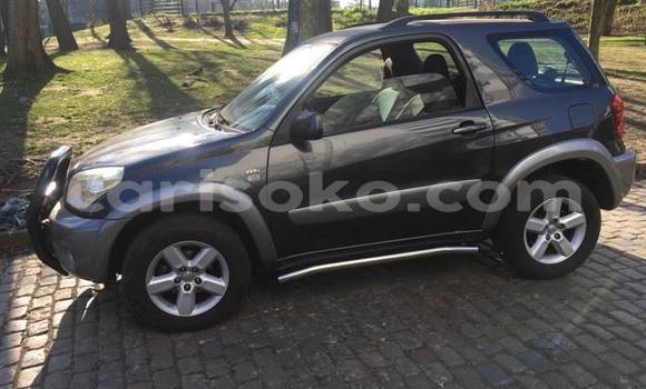 Buy Used Toyota RAV4 Brown Car in Kigali in Rwanda Buy Used Toyota RAV4 Brown Car in Kigali in Rwanda