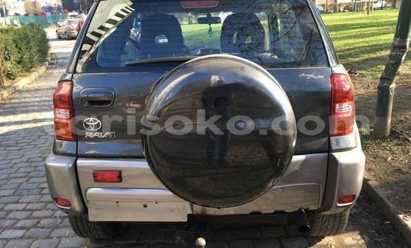 Buy Used Toyota RAV4 Brown Car in Kigali in Rwanda Buy Used Toyota RAV4 Brown Car in Kigali in Rwanda