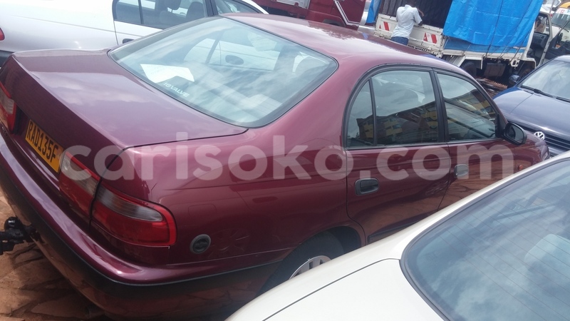 Big with watermark 0218171232