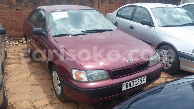 Big with watermark 0218171232a