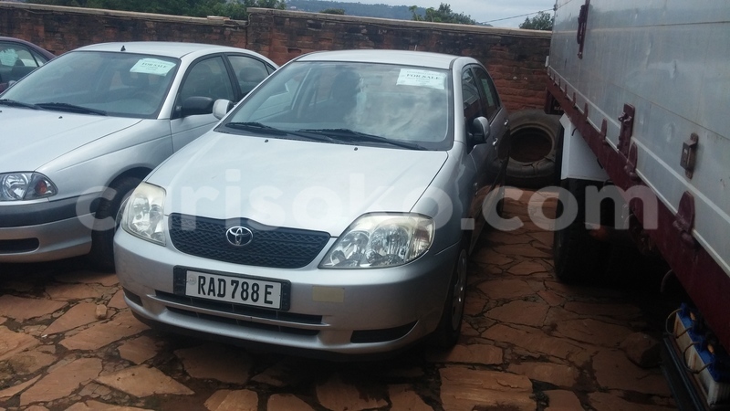 Big with watermark 0218171233