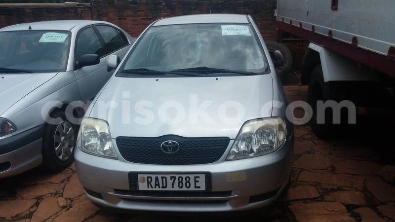 Big with watermark 0218171233a