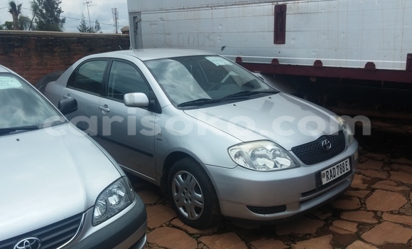 Acheter Occasion Voiture Toyota Corolla Gris à Kigali, Rwanda Acheter Occasion Voiture Toyota Corolla Gris à Kigali, Rwanda