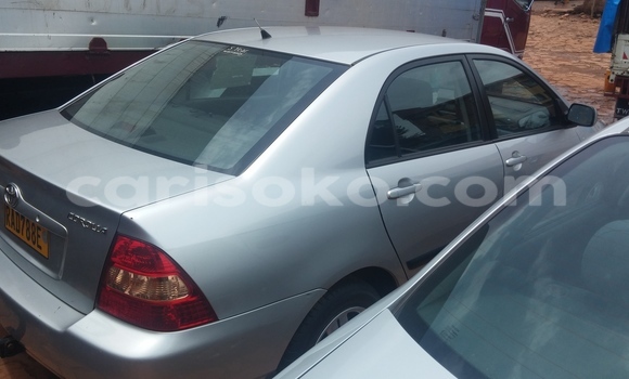 Acheter Occasion Voiture Toyota Corolla Gris à Kigali, Rwanda Acheter Occasion Voiture Toyota Corolla Gris à Kigali, Rwanda