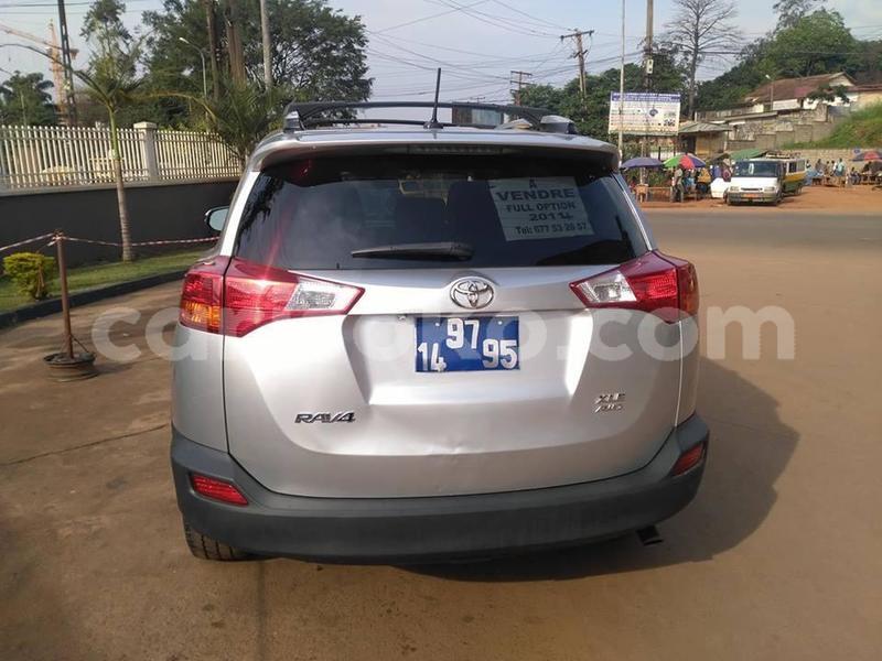 Big with watermark e50