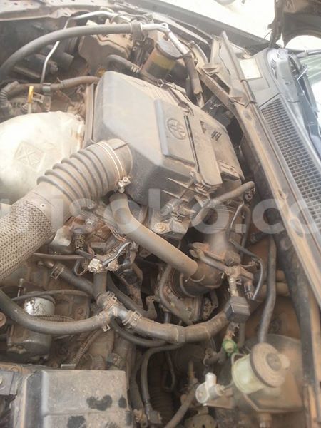 Big with watermark 16298494 1556577997703333 5880869471342312895 n