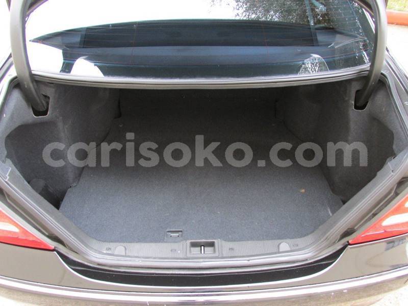 Big with watermark h15