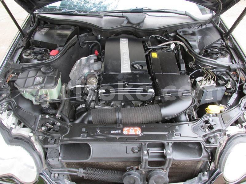 Big with watermark h17