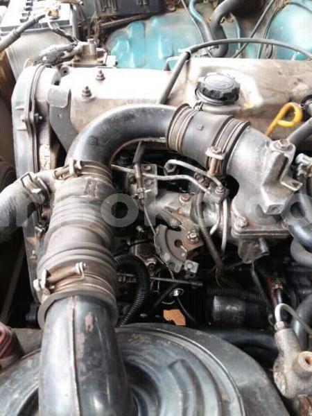 Big with watermark 56781103 157950965212294 3372960030843207680 n