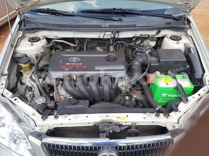 Big with watermark 56536247 1090363701136217 8442903305813753856 o