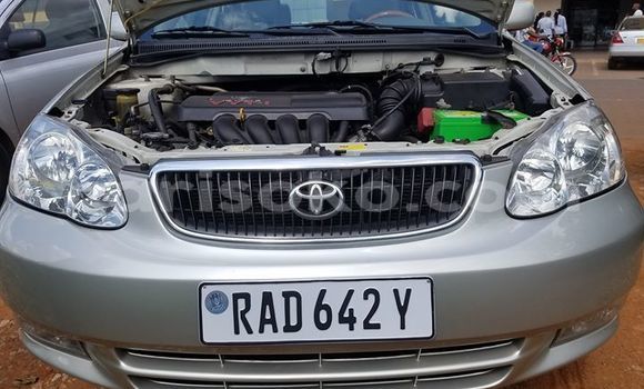 اشتري مستعمل Toyota Corolla Gris سيارة في Kigali في Rwanda اشتري مستعمل Toyota Corolla Gris سيارة في Kigali في Rwanda