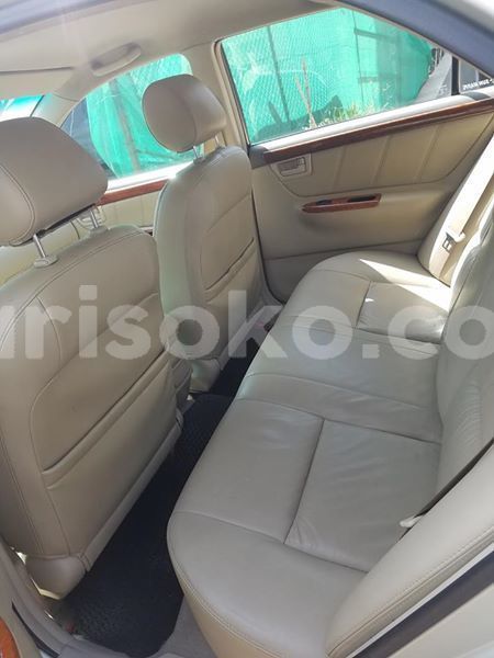 Big with watermark 56400493 1090363591136228 2164876659231031296 n