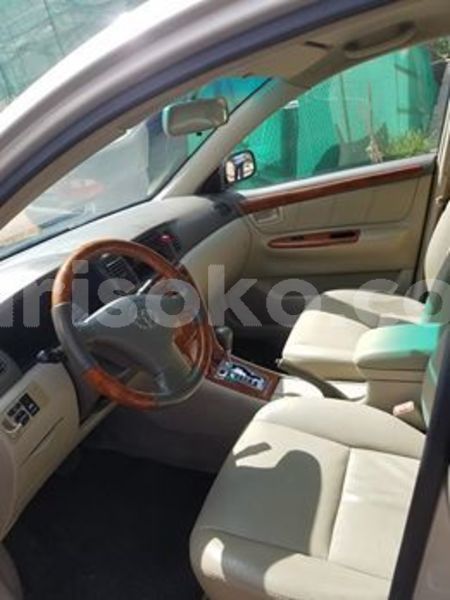 Big with watermark 56603119 1090363557802898 4074615055440674816 n