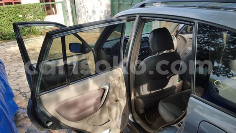 Big with watermark 16298494 1556577997703333 5880869471342312895 n