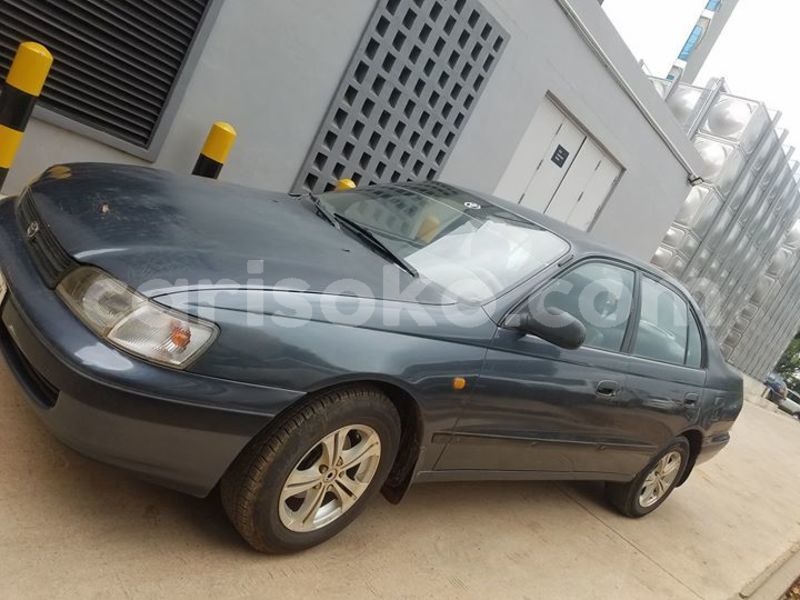 Big with watermark 56532474 1087578684748052 3575496180123041792 o