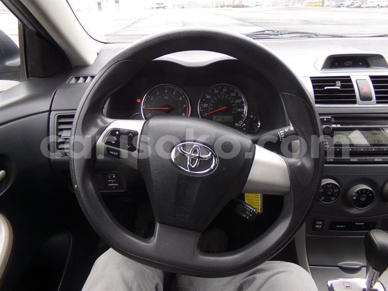 Big with watermark b10