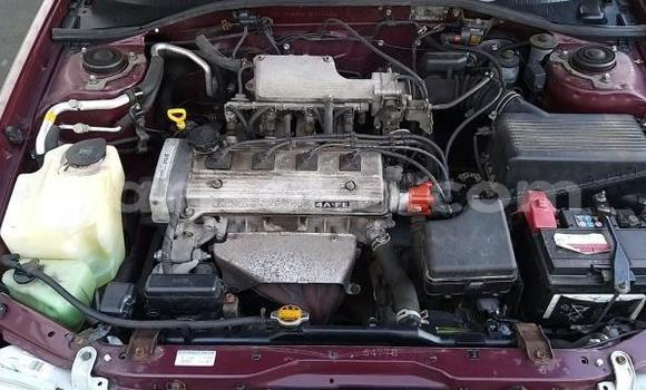 Buy Used Toyota Carina E Red Car in Kigali in Rwanda Buy Used Toyota Carina E Red Car in Kigali in Rwanda