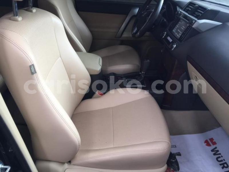 Big with watermark prado11