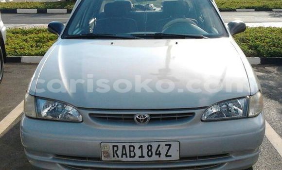 Acheter Occasion Voiture Toyota Corolla Gris à Gicumbi, Rwanda Acheter Occasion Voiture Toyota Corolla Gris à Gicumbi, Rwanda