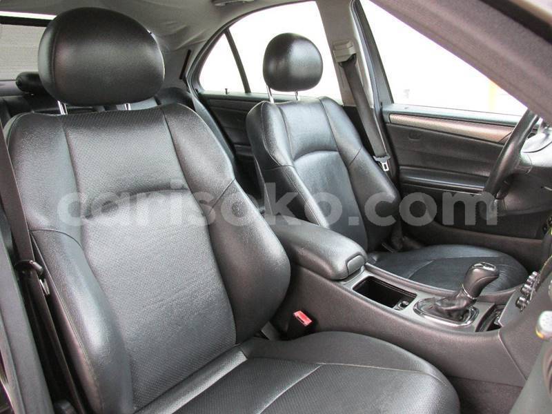 Big with watermark h12