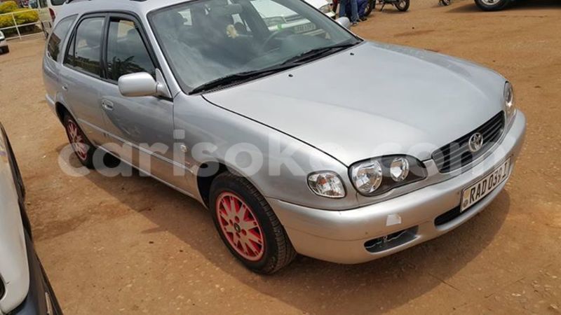 Big with watermark 16684261 1284056601632011 8943575257685139748 n