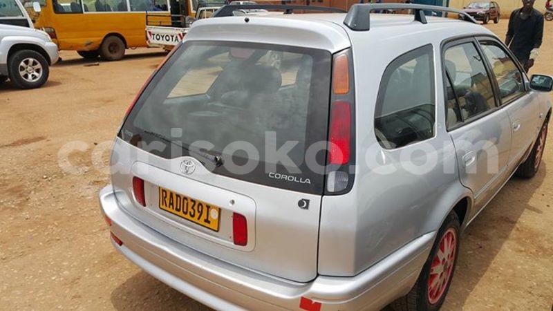 Big with watermark 16508402 687996474706900 565176718935992998 n