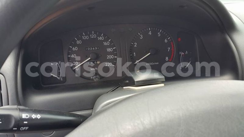 Big with watermark 16712011 1158145860969845 2370005447690403421 n