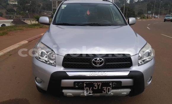 Buy Used Toyota RAV4 Silver Car in Kigali in Rwanda Buy Used Toyota RAV4 Silver Car in Kigali in Rwanda