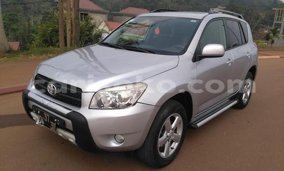 Buy Used Toyota RAV4 Silver Car in Kigali in Rwanda Buy Used Toyota RAV4 Silver Car in Kigali in Rwanda