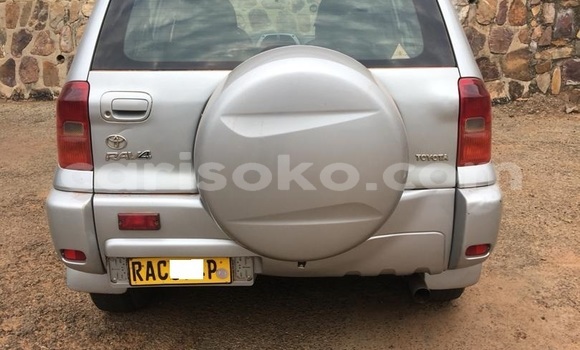 Buy Used Toyota RAV4 Silver Car in Kigali in Rwanda Buy Used Toyota RAV4 Silver Car in Kigali in Rwanda