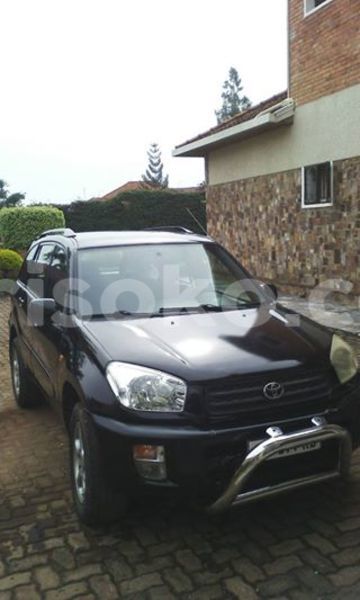 Big with watermark 16508402 687996474706900 565176718935992998 n