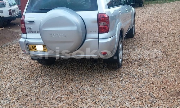 Buy Used Toyota RAV4 Silver Car in Kigali in Rwanda Buy Used Toyota RAV4 Silver Car in Kigali in Rwanda