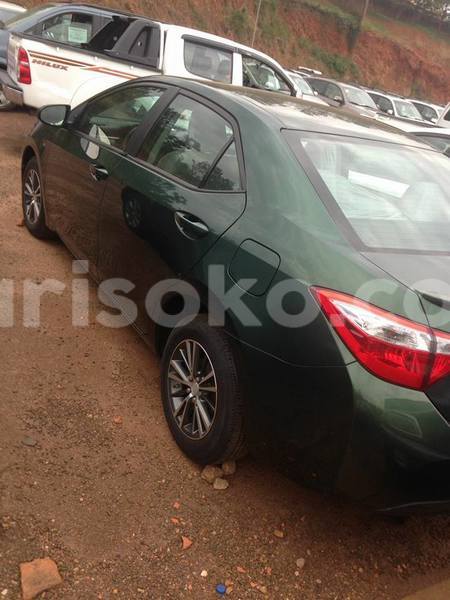 Big with watermark 16684261 1284056601632011 8943575257685139748 n