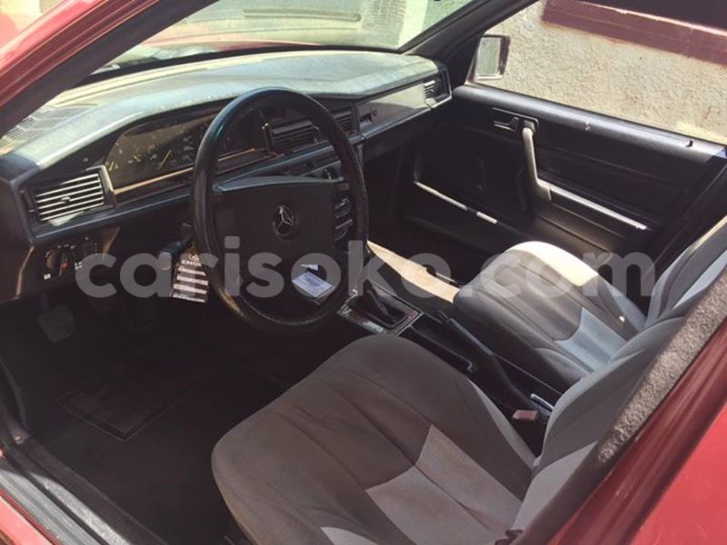 Big with watermark 16712011 1158145860969845 2370005447690403421 n