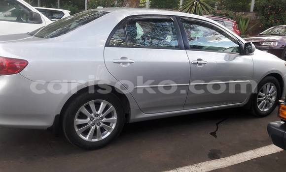 Acheter Neuf Voiture Toyota Corolla Gris à Kigali, Rwanda Acheter Neuf Voiture Toyota Corolla Gris à Kigali, Rwanda