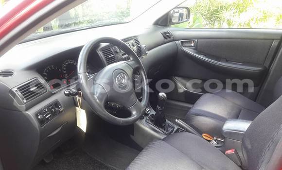 Acheter Neuf Voiture Toyota Corolla Gris à Kigali, Rwanda Acheter Neuf Voiture Toyota Corolla Gris à Kigali, Rwanda