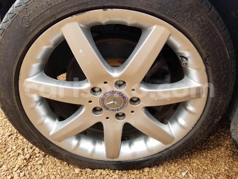 Big with watermark leo14