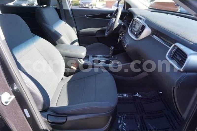Big with watermark 6