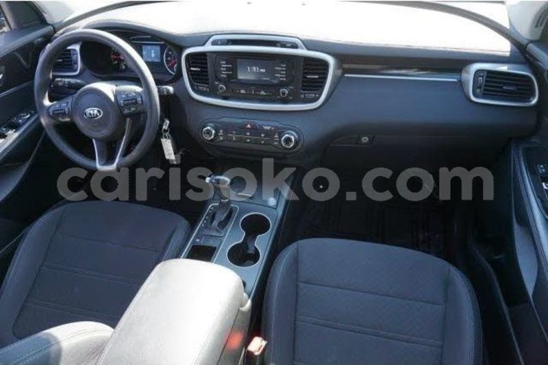 Big with watermark 17