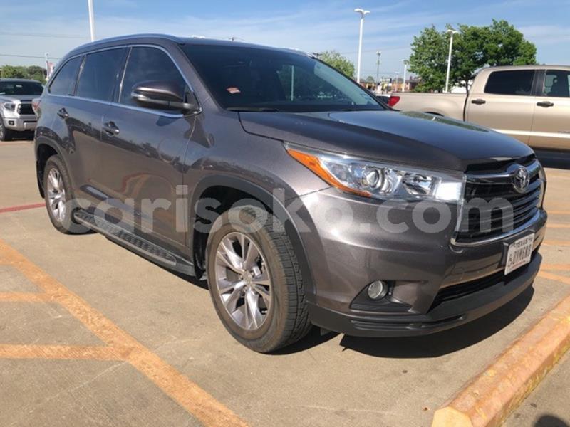 Big with watermark dd1