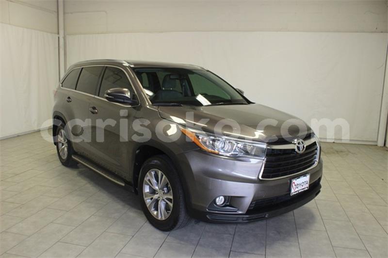 Big with watermark dd6